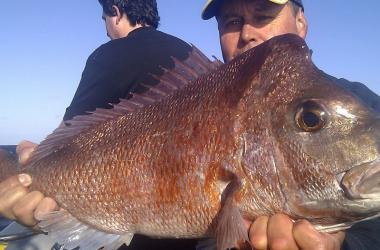 Image of Fishing Charters