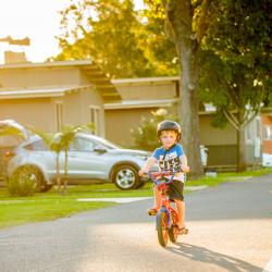Make sure to pack your bikes!